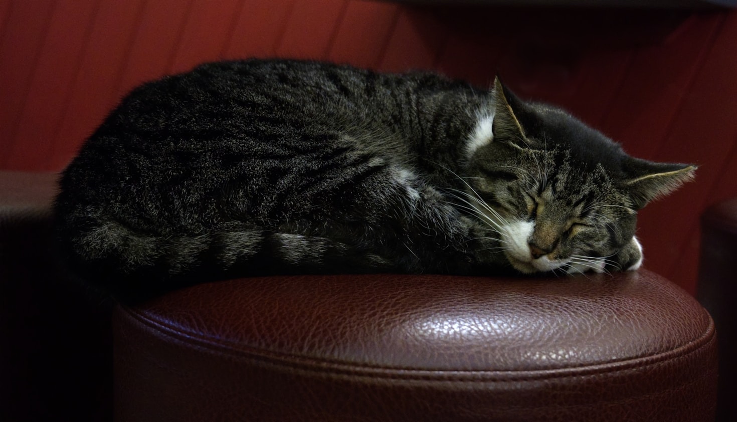 The Ultimate Guide to Creating a Nap-Friendly Space